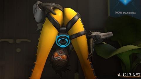 拥有豪华的 拥有豪华的